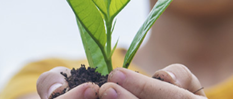 agj tagung jugendhilfe demokratie