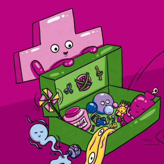 leitfaden_mentale_krisen_bdkj_limburg